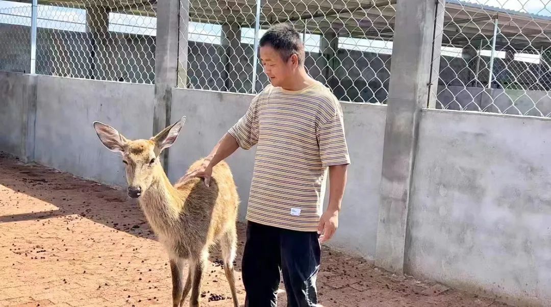 指尖捕鱼最新官方版